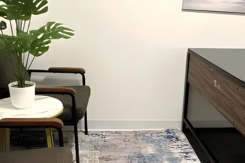 Private  Daily Therapy Suite 