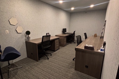 LionShare Cowork: 10x20 1-4 Person Private Office inside a Coworking Space