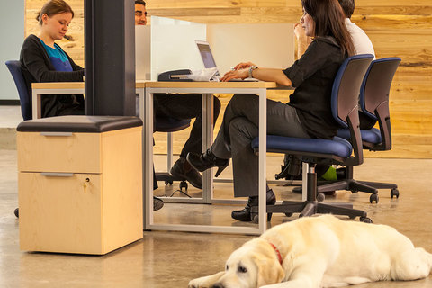 Coworking Area