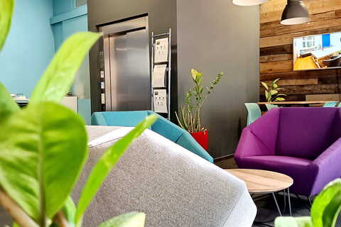 a room with purple chairs and a plant