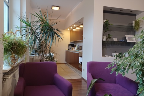 a room with purple chairs and a plant