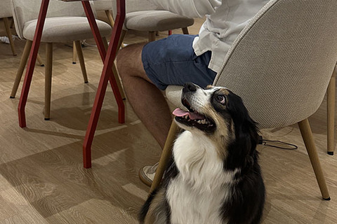 a person and a dog sitting on the floor