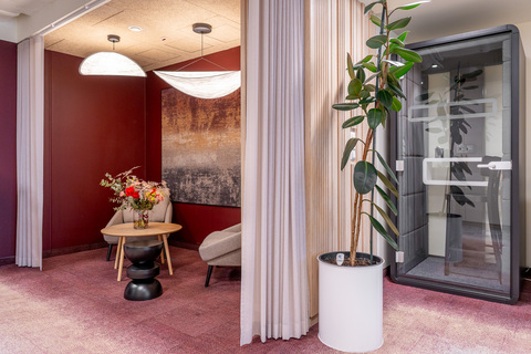 a room with a tall plant in a pot