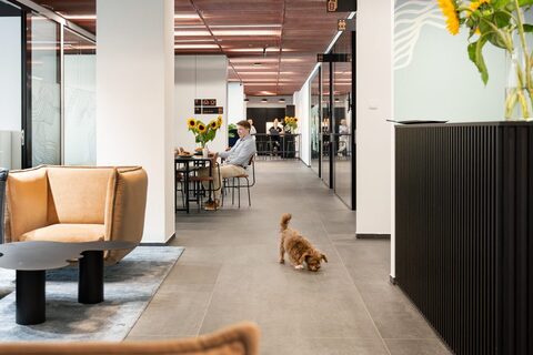 a dog walking on the floor of a building