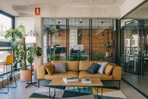 a couch in a room with plants