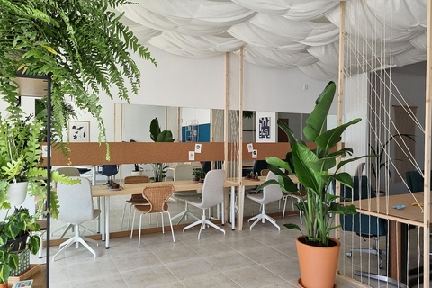Coastal Cowork Collective