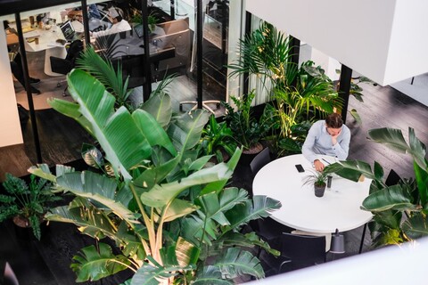 a table with a plant in a garden