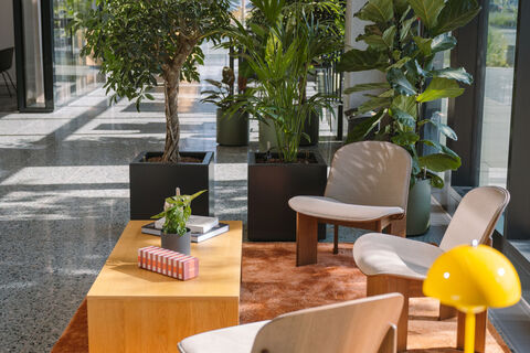 a dining table in a garden