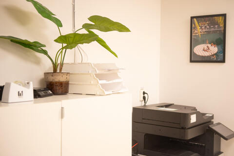 a plant on a white cabinet