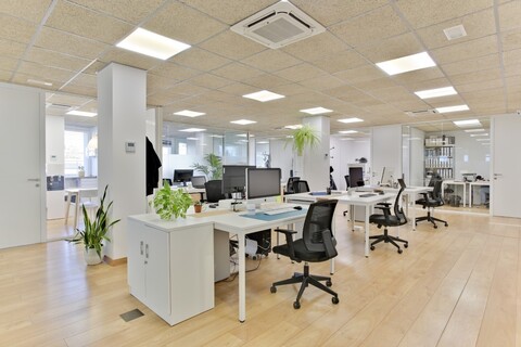 FlyCowork