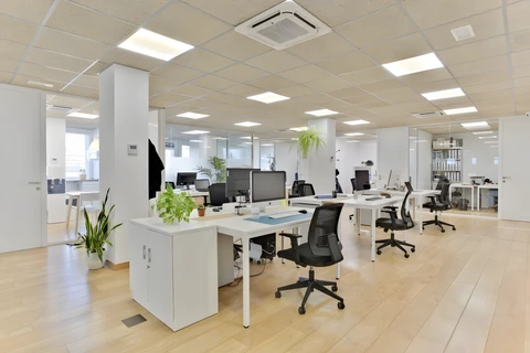 FlyCowork