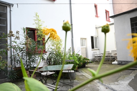 a close up of a garden