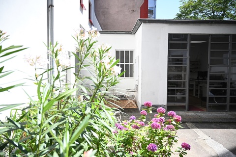 a close up of a flower garden in front of a house
