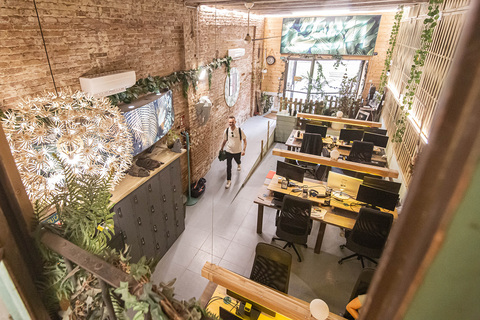 Jungle