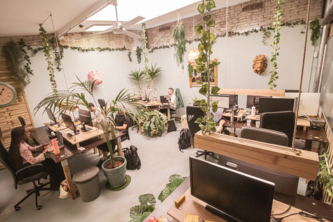 a room with computers and plants