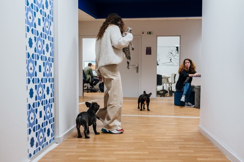 a woman standing in a hallway with two dogs