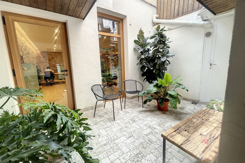 a room filled with furniture and a plant in a garden