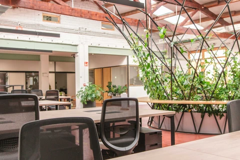 Casa Manglar