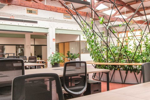 Casa Manglar