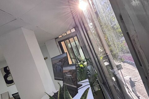 a window with a plant on it