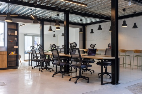 Pulp 13 Studios