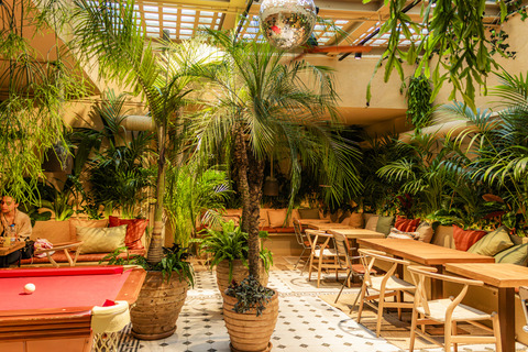 a group of palm trees on a table