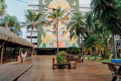 a wooden bench in front of a palm tree