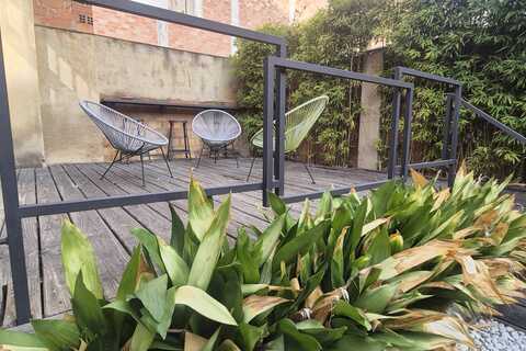 a plant in a garden