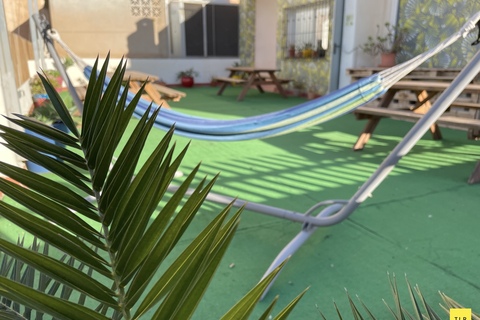 a hammock on a green surface