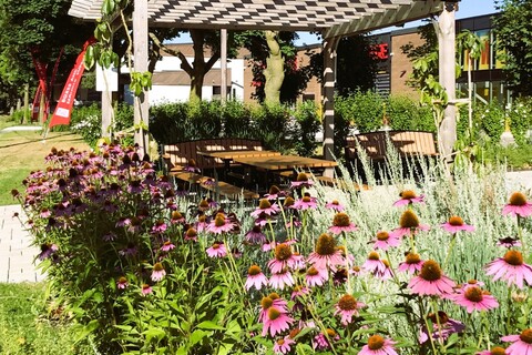 a close up of a flower garden