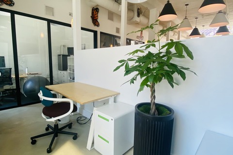 Dedicated Desk