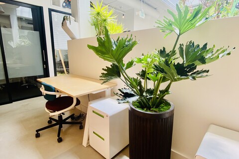 Dedicated Desk