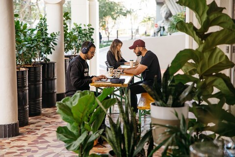 The Terrace